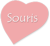 Souris